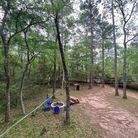 2 Bdrm Treehouse Hideout- Lake Conroe With Boat Ramp Монтгомъри Екстериор снимка